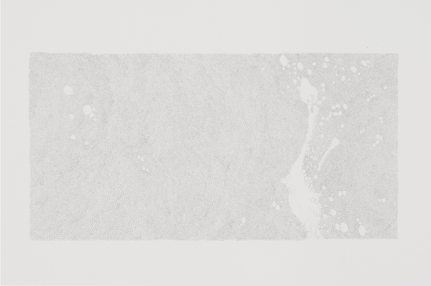 Marcy Chevali Untitled (Water Series 6) Pencil on paper 10.50h x 13w in