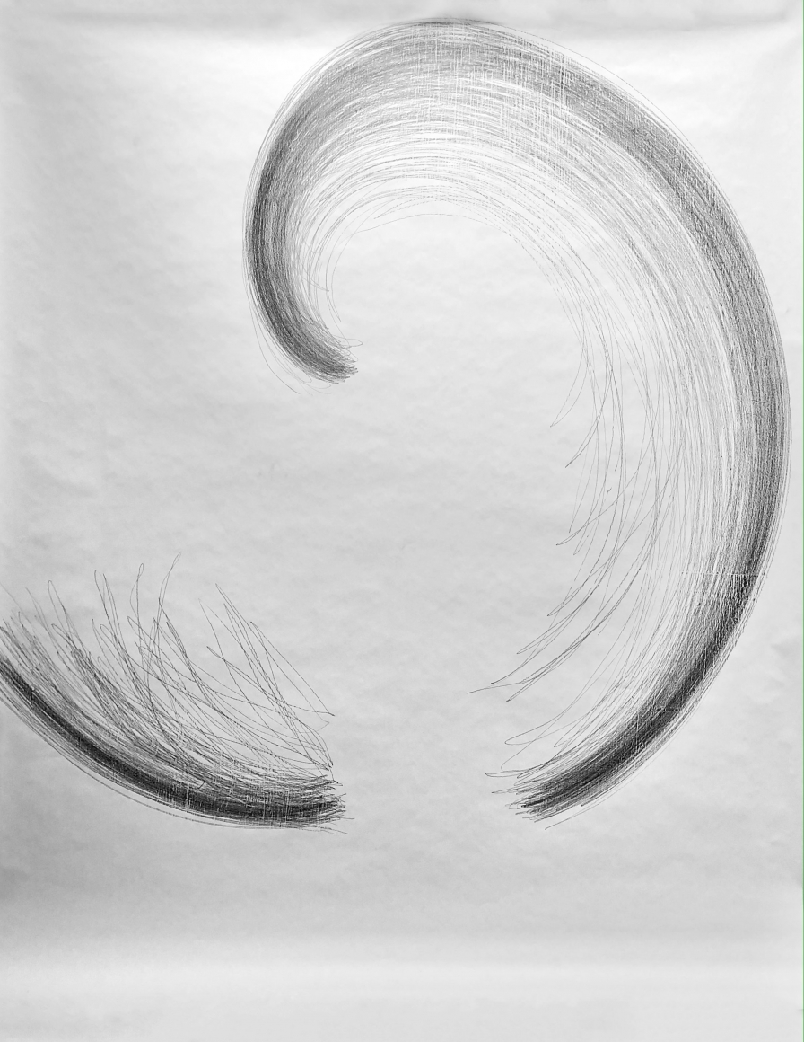 Marcy Chevali Circumference IV Pencil on paper