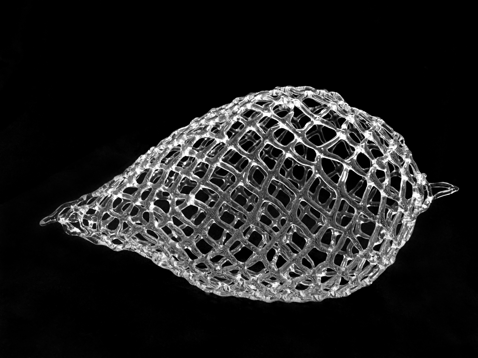 Marcy Chevali Untitled, 2020 Flame worked glass 5.50h x 9.50w x 5.50d in