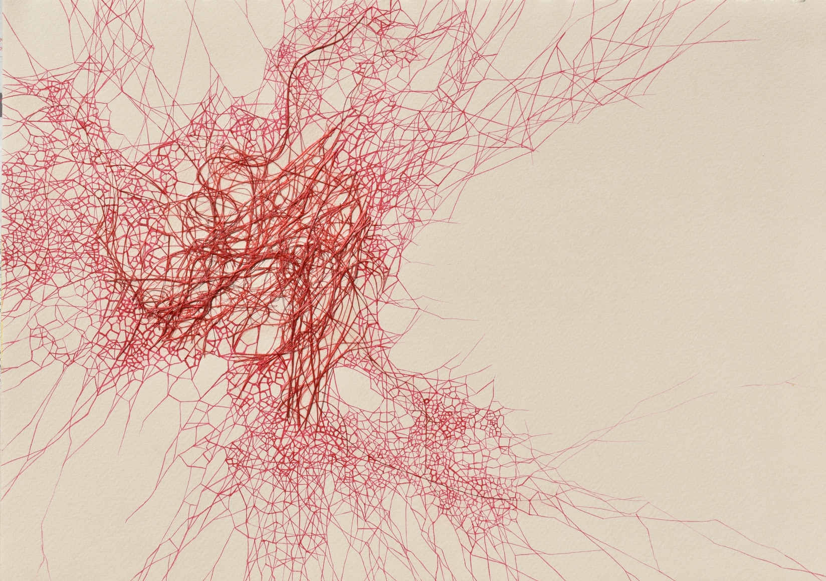 Dhara Mehotra Continuum IV, 2019 Acrylic, ink, & coir on archival paper 11.50h x 14.50w in