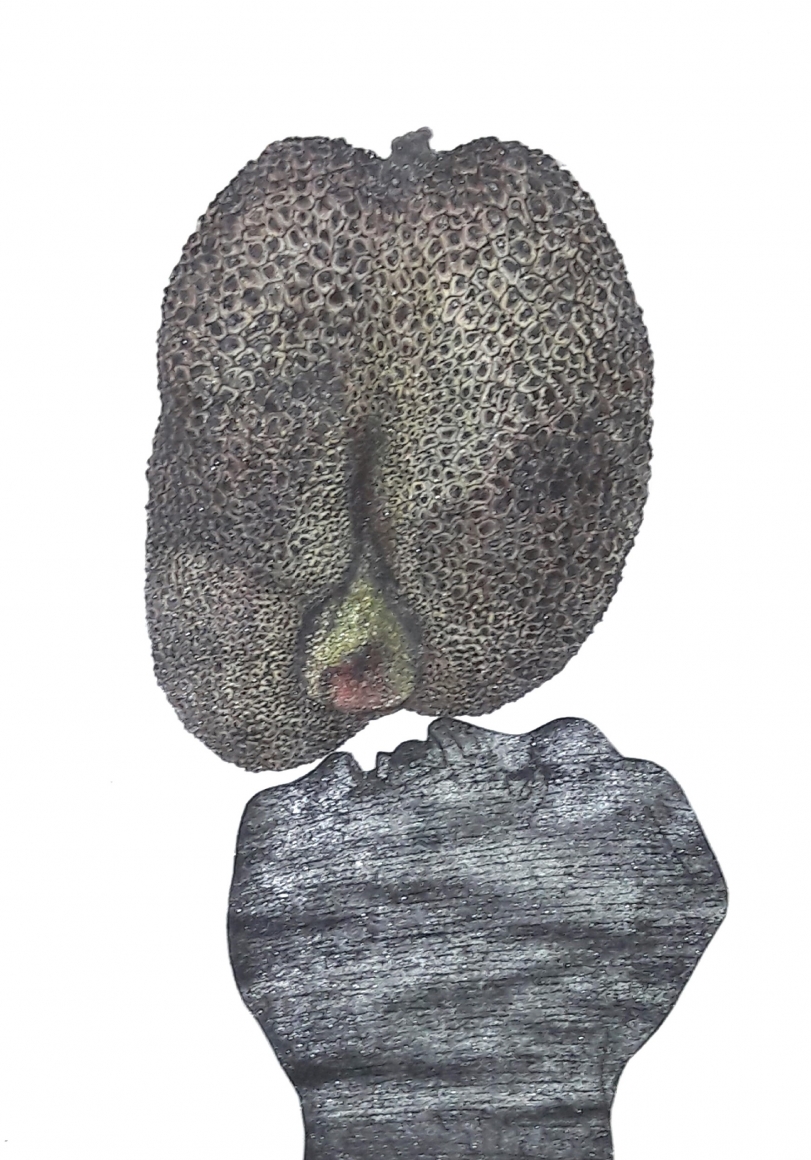 Avishek Sen The keeping away is pulling me in, 2019 Water based medium on paper 16h x 11w in