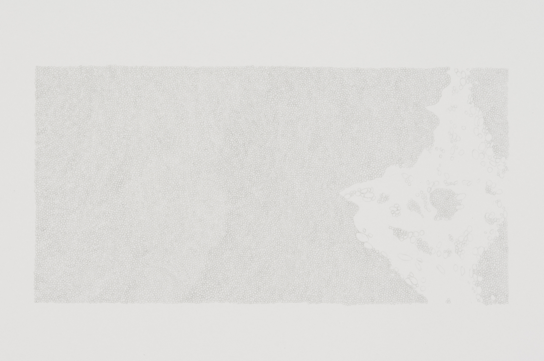 Marcy Chevali Untitled (Water Series 3) Pencil on paper 10.50h x 13w in