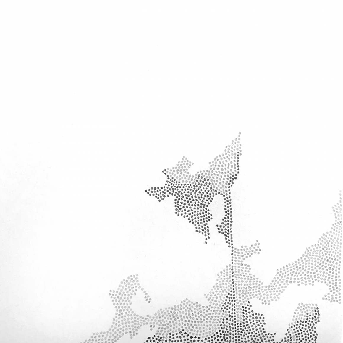 Grace Beck Merge, 2019 Graphite on rag paper 7h x 7w in
