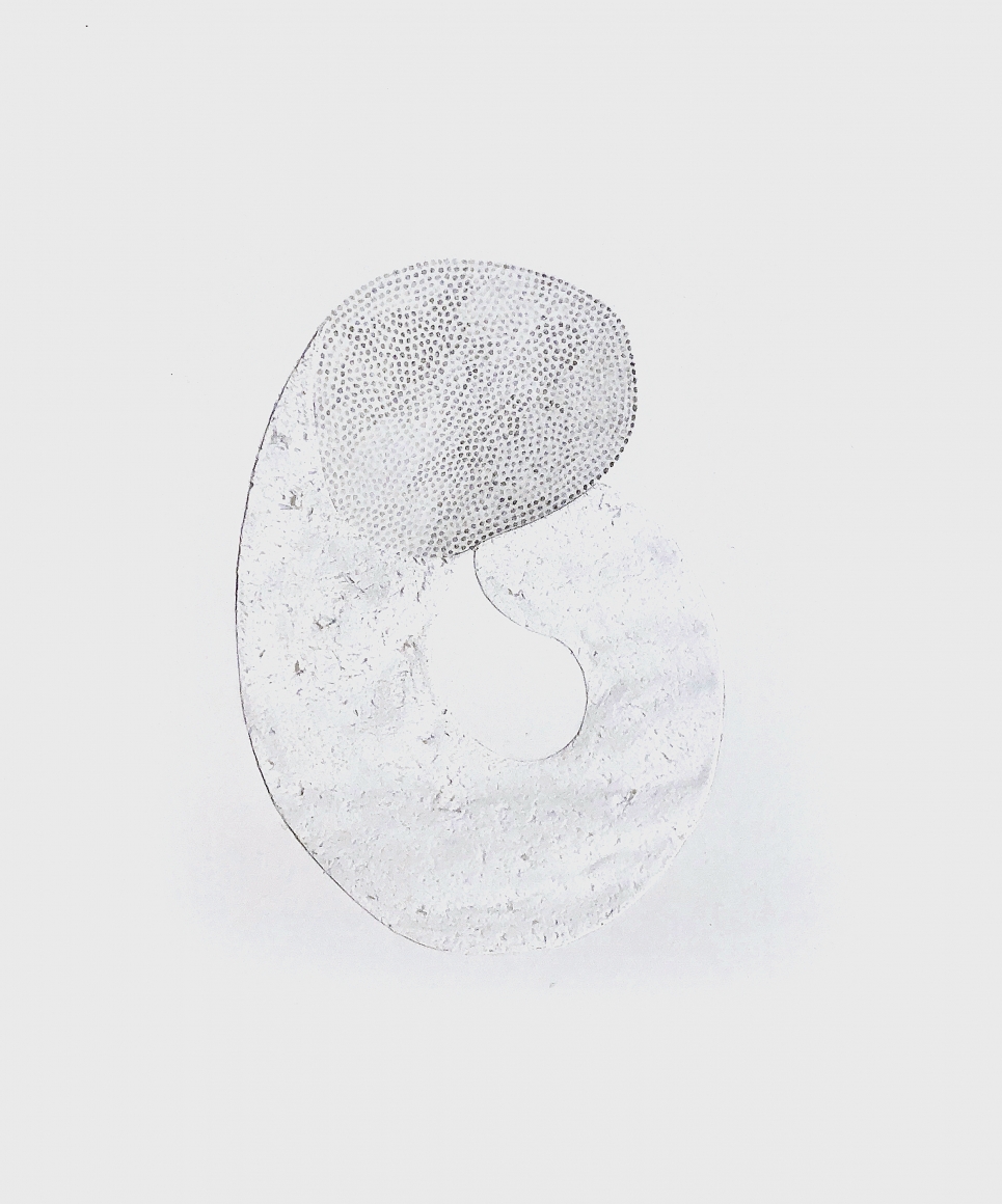 Grace Beck Hold, 2020 Graphite on rag paper 10h x 8w in