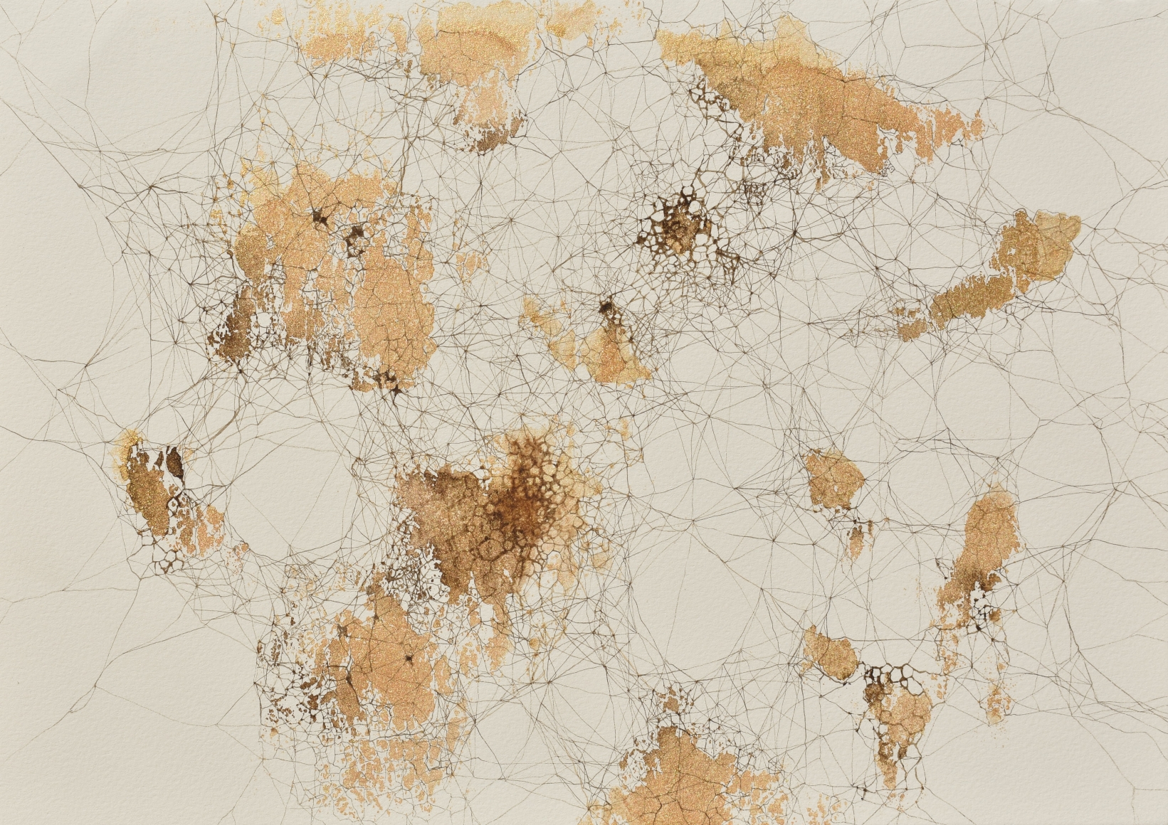Dhara Mehotra Continuum V, 2019 Acrylic and ink on archival paper 11.50h x 14.50w in
