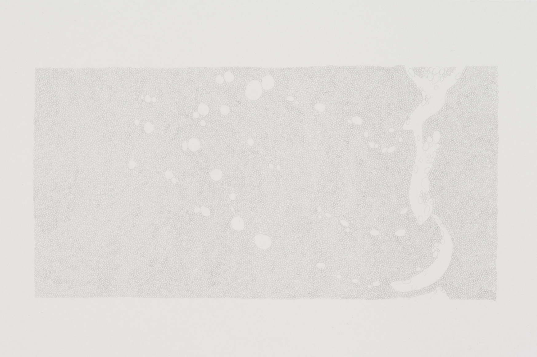 Marcy Chevali Untitled (Water Series 5) Pencil on paper 10.50h x 13w in