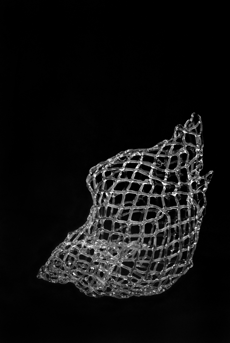 Marcy Chevali Asrai, 2020 Flame worked glass 11h x 10w x 6d in