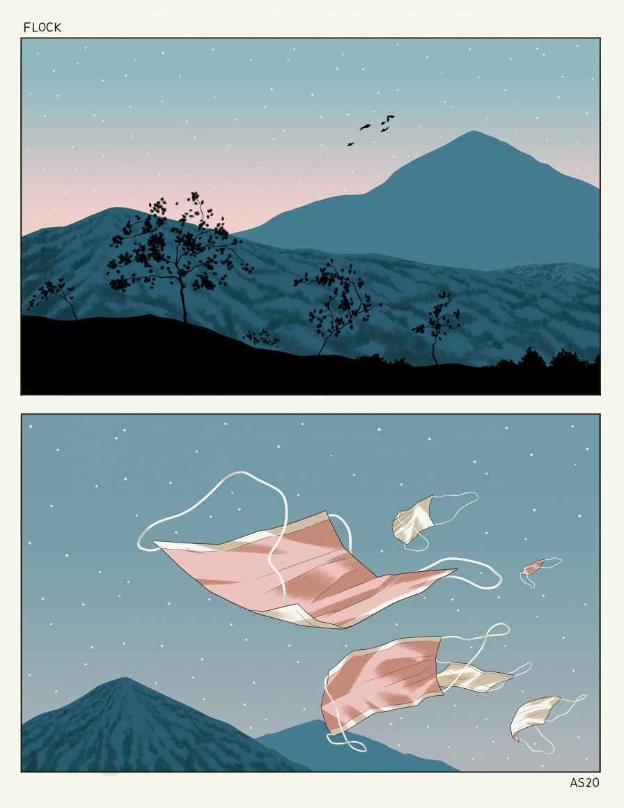 Anuj Shrestha Flock, 2020 Digital print 20.50h x 17.75w in