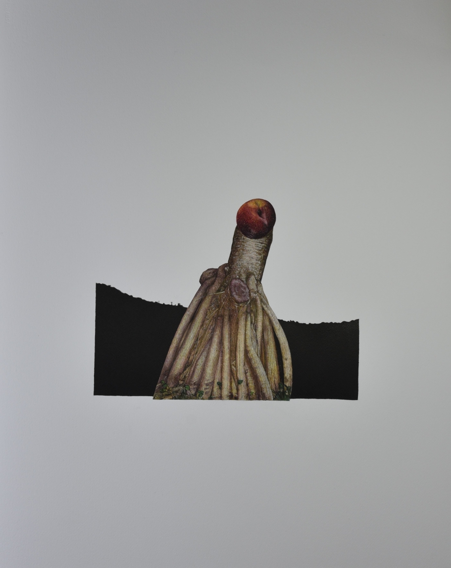 Avishek Sen Up there, waiting, 2019 Water based medium on paper 30h x 22w in