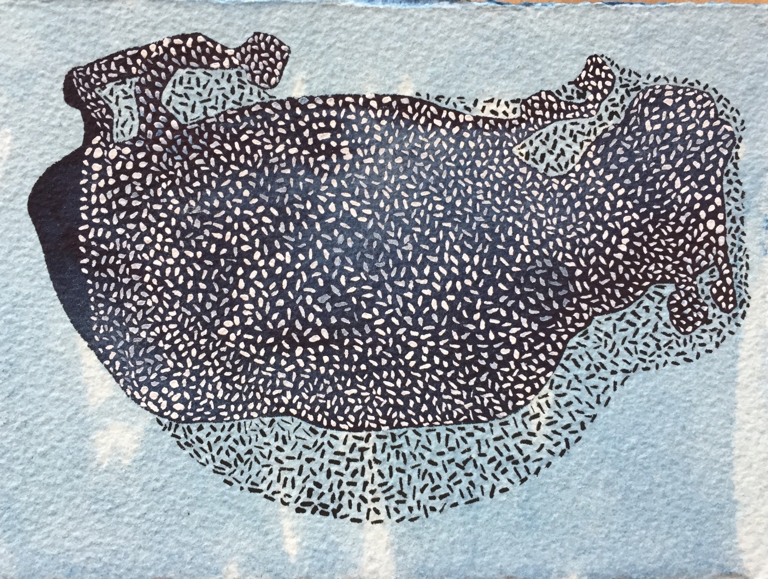 Manisha Parekh Blue Shadows
