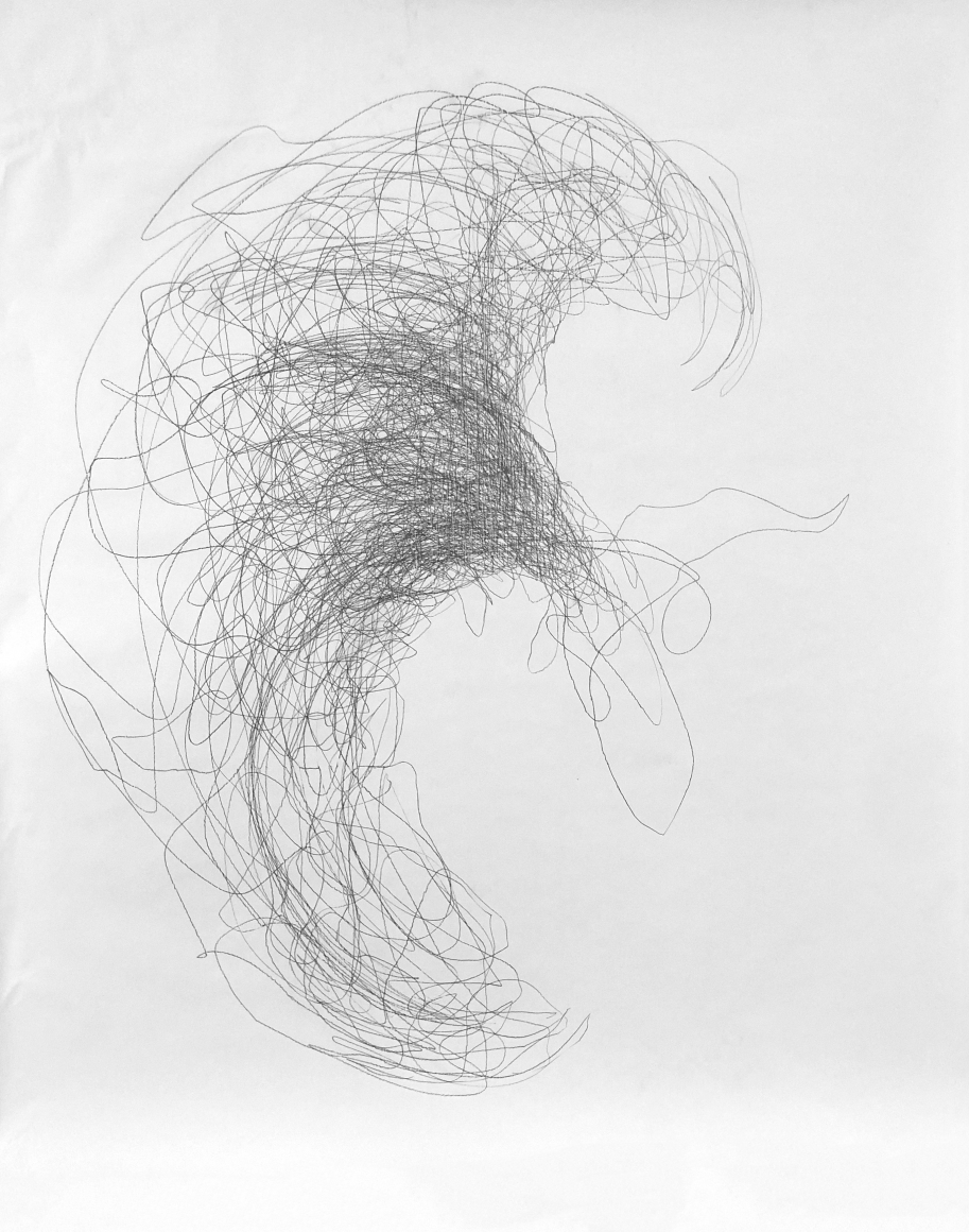 Marcy Chevali Circumference V Pencil on paper
