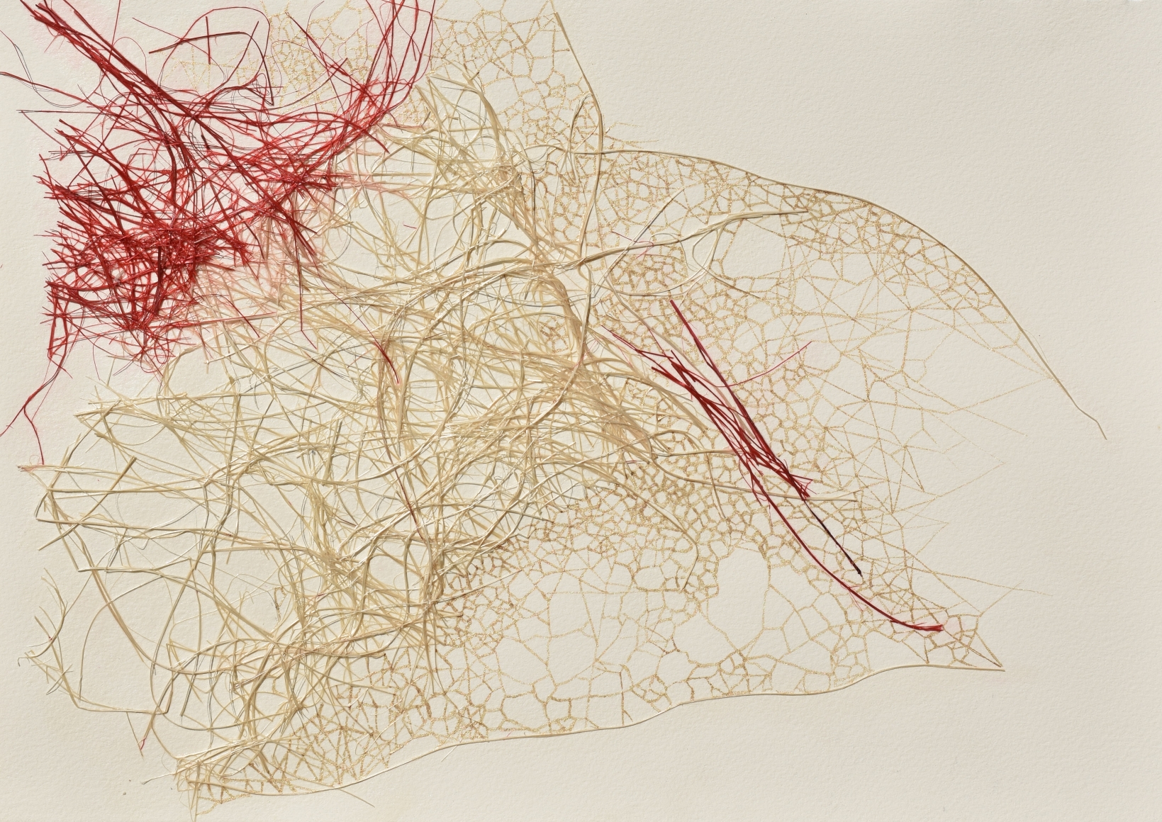Dhara Mehotra Continuum III, 2019 Coir and acrylic on archival paper 11.50h x 14.50w in