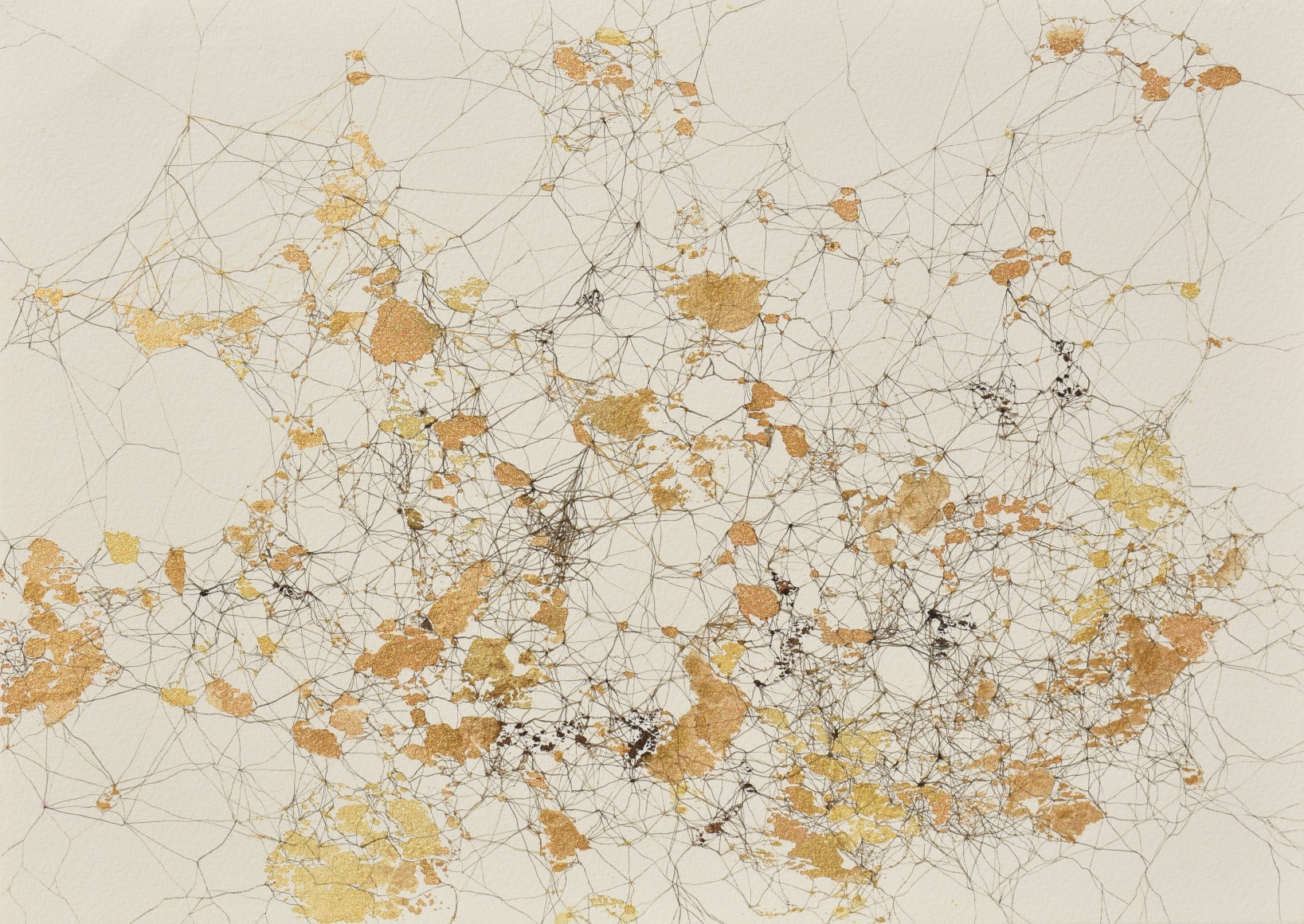 Dhara Mehotra Continuum I, 2019 Acrylic and ink on archival paper 11.50h x 14.50w in