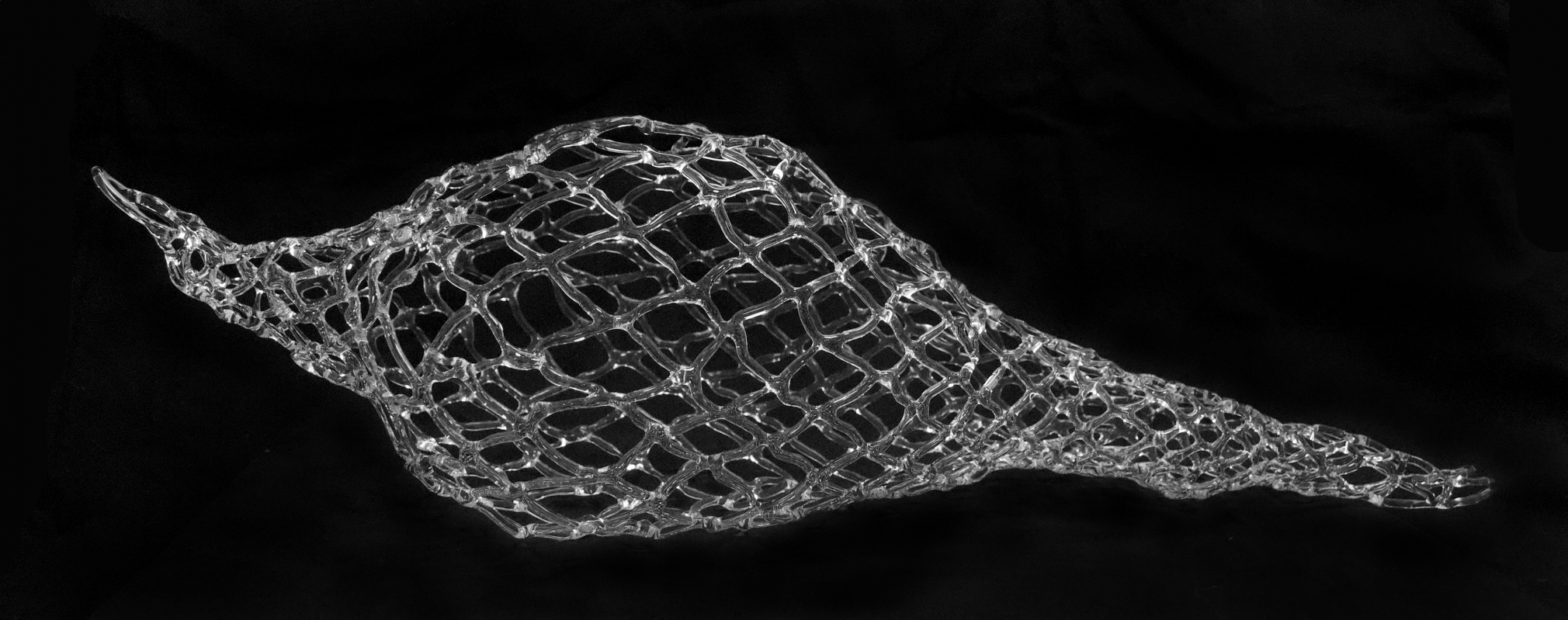 Marcy Chevali Menura, 2018 Flame worked glass 21h x 6w x 7d in