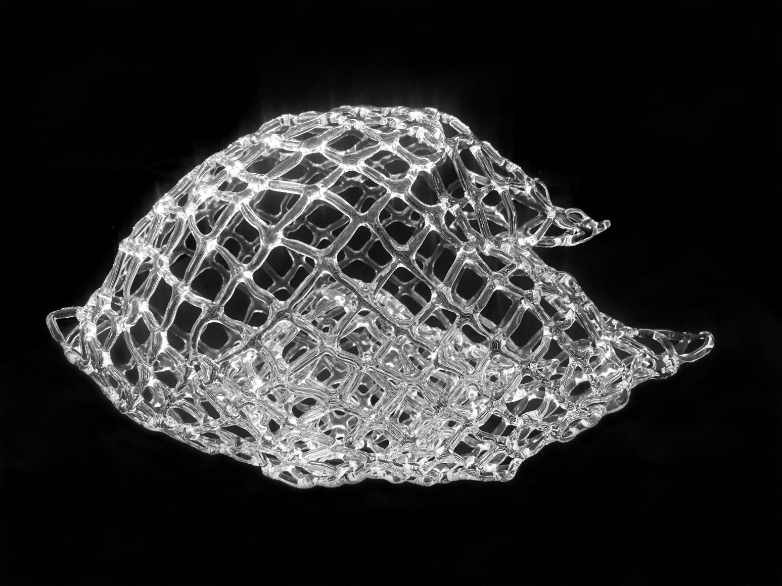 Marcy Chevali Untitled, 2020 Flame worked glass 5.50h x 9w x 5d in