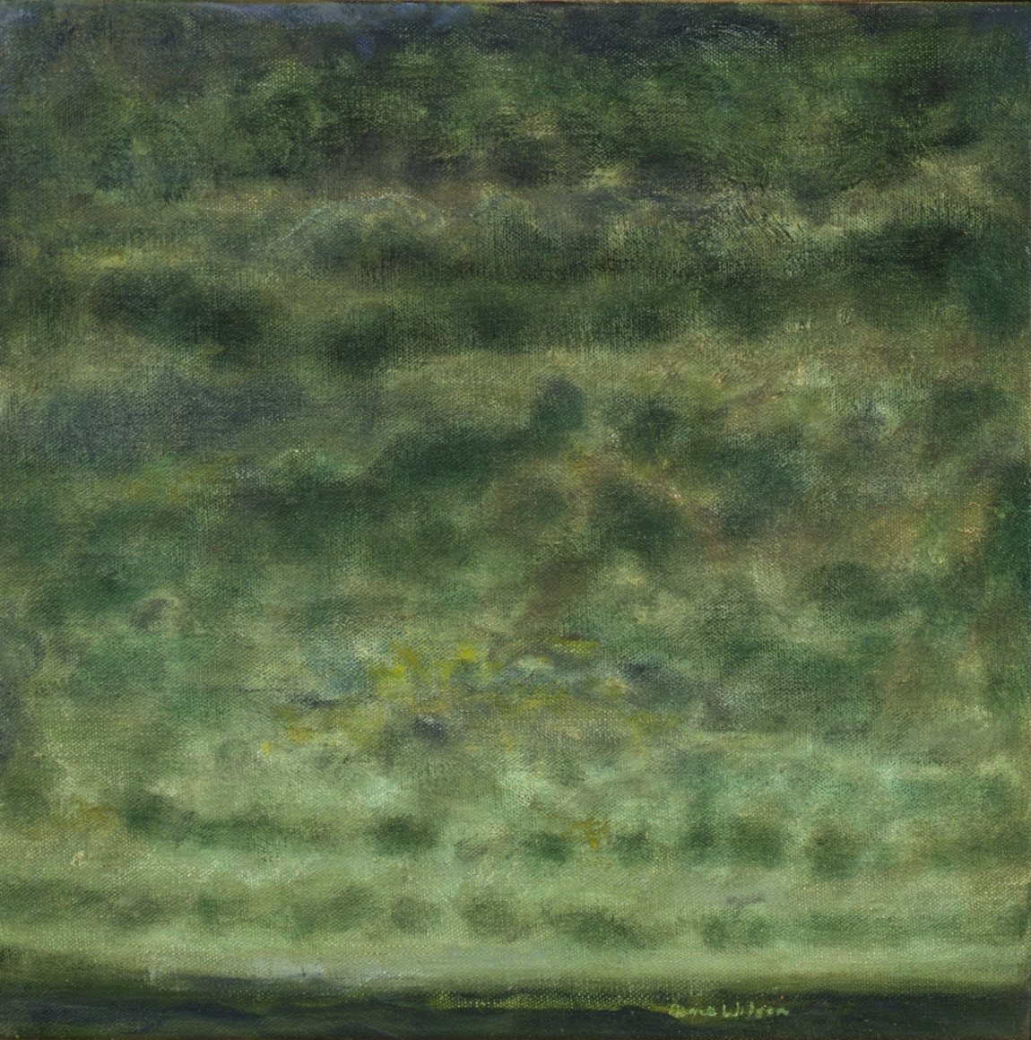 Jane Wilson Artists DC Moore Gallery