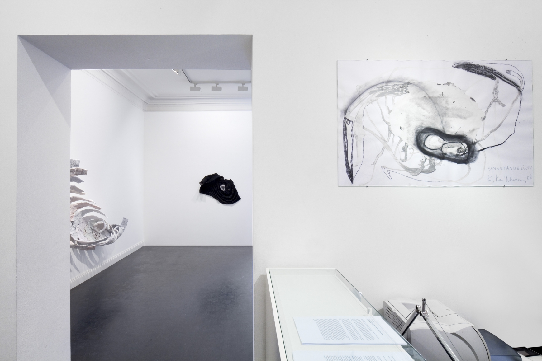 Kaarina Kaikkonen Exhibitions