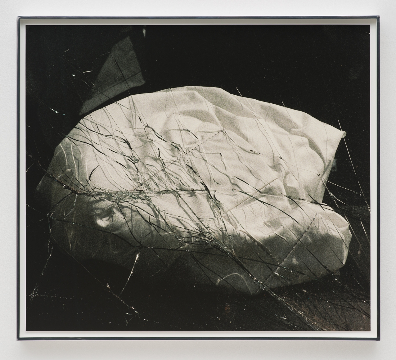 Liza Ryan Pillow, 2015