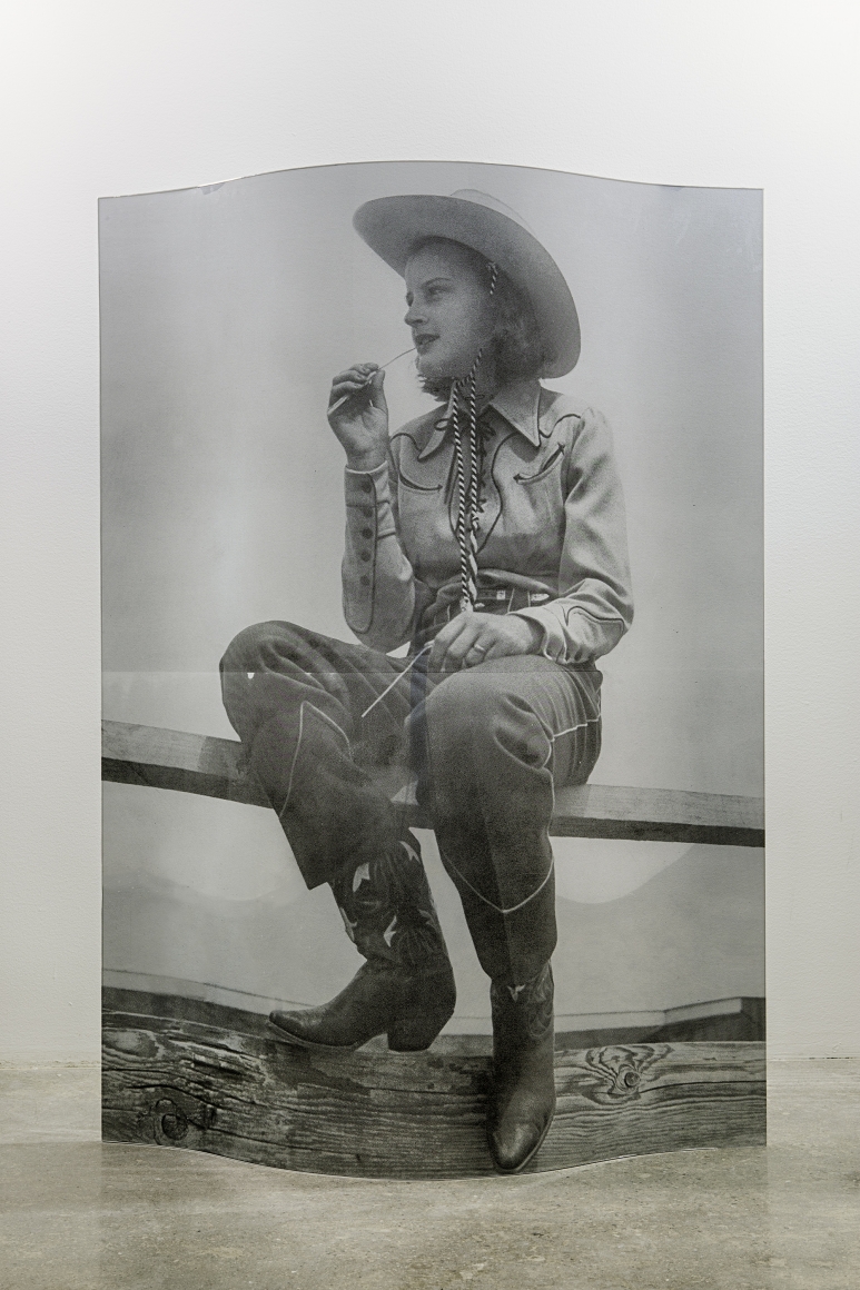 Servane Mary, Untitled (Woman on a Fence), 2015