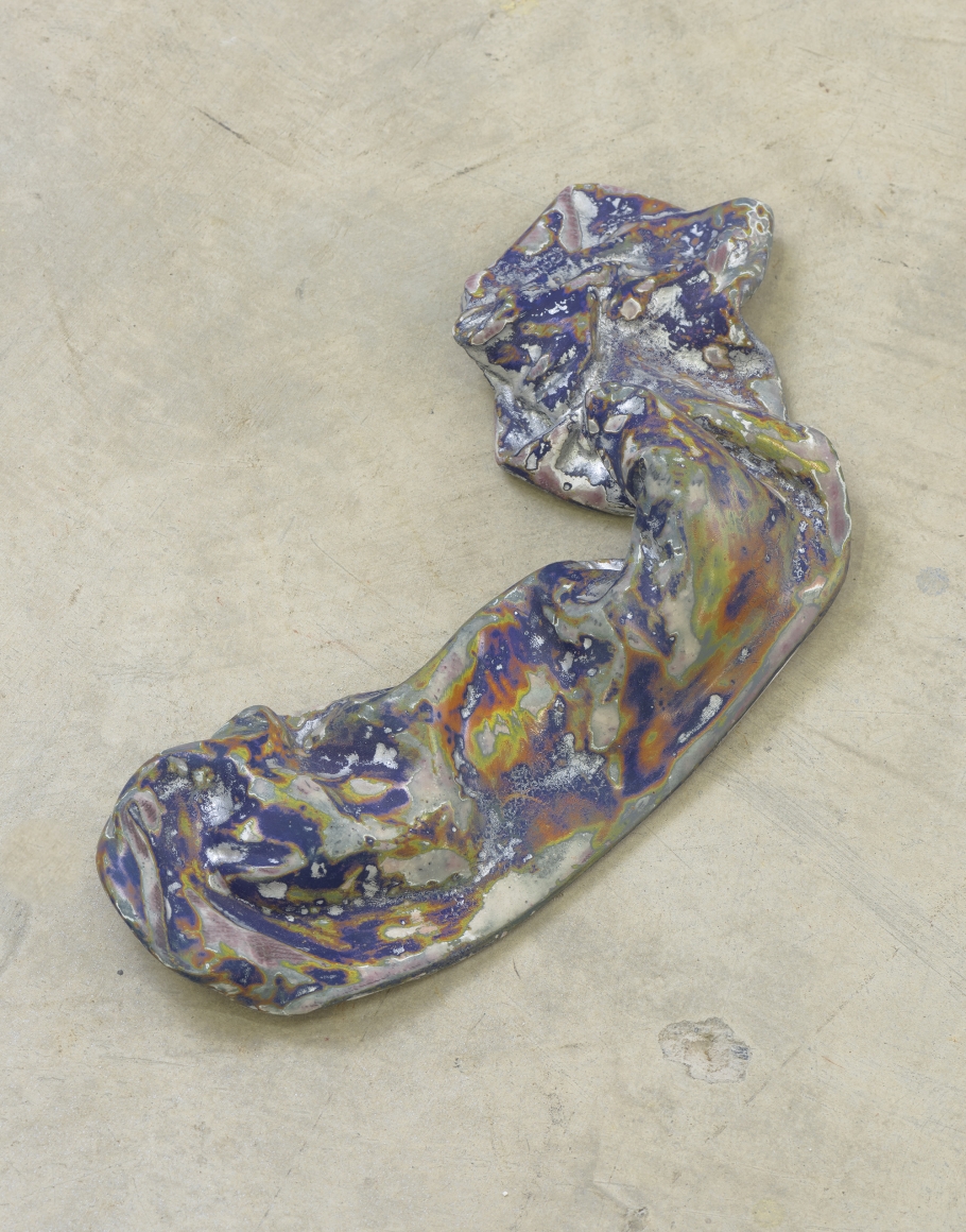 Rosha Yaghmai, Multi trip