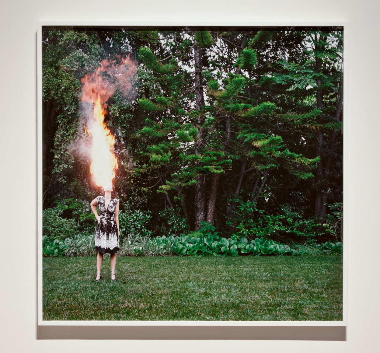 Liza Ryan, I push a petal from my Gown