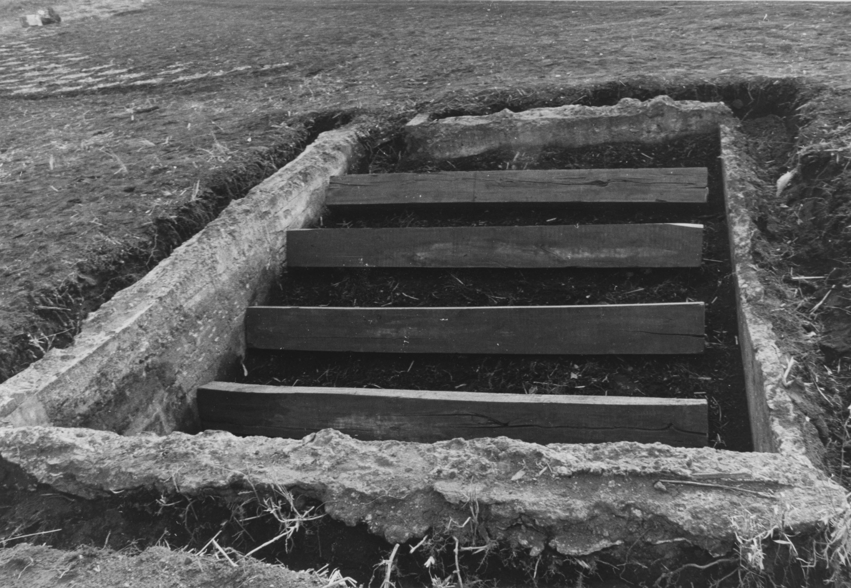 Noboru Takayama Underground Zoo, 1970Space Totsuka