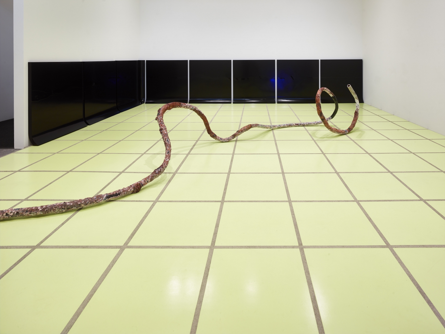 Installation view Rosha Yaghmai: Miraclegrow, Wattis Instutite for Contemporary Arts, January 15 - March 30, 2019