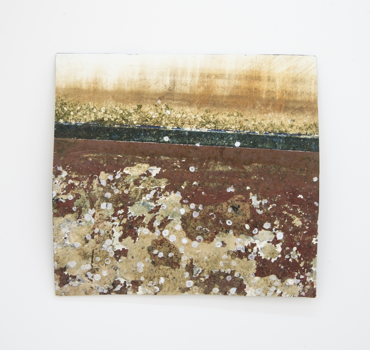 Charles Harlan Barnacles, 2017