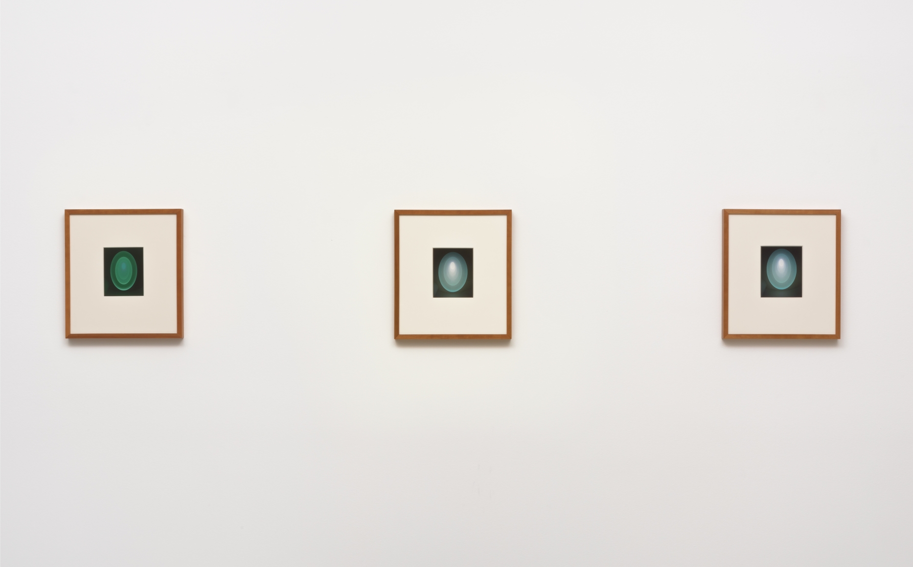 From the Guggenheim, Set 1, Green, Large Vertical, 2015, Unique archival in jet, artist designed frame