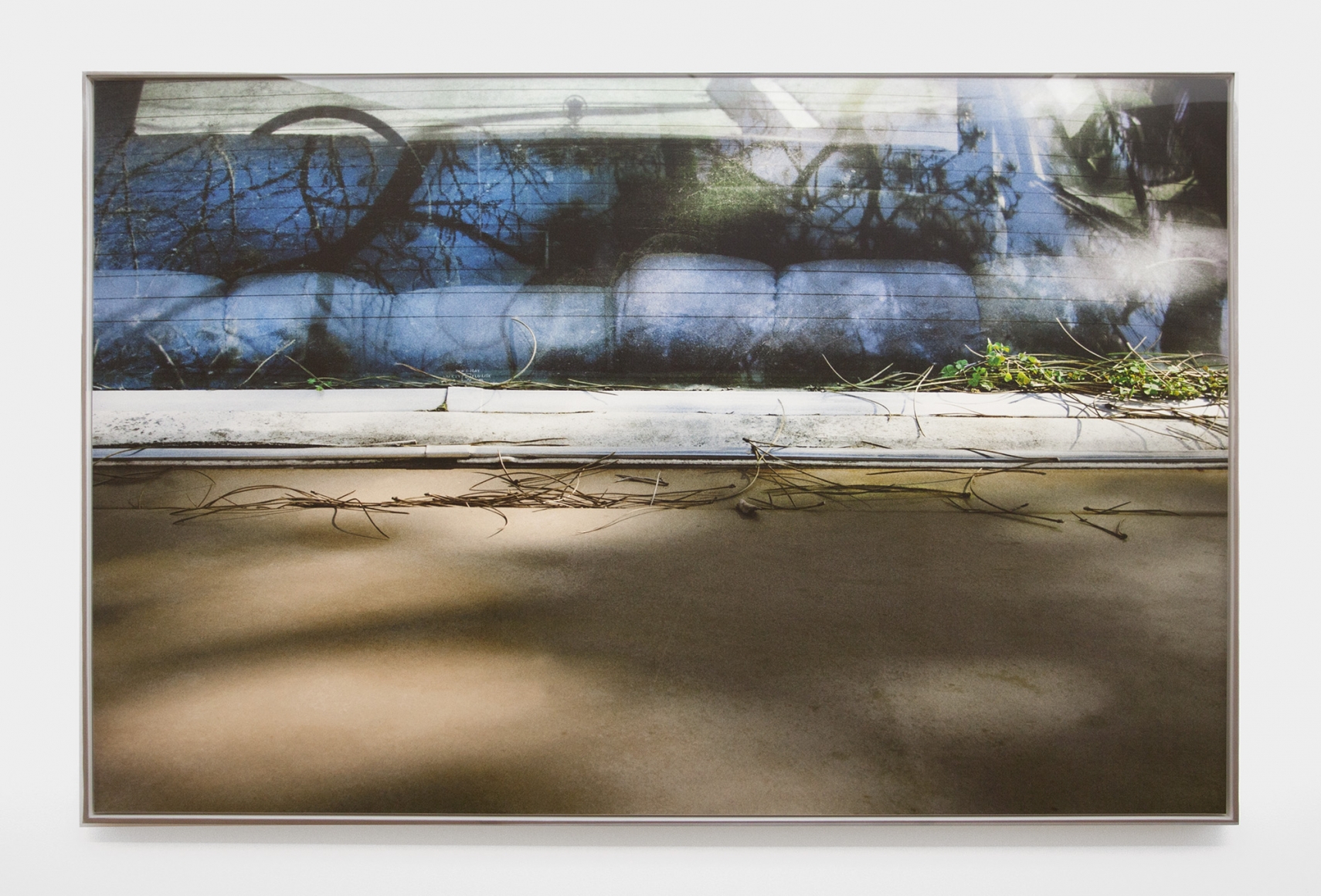 Liza Ryan, Clover