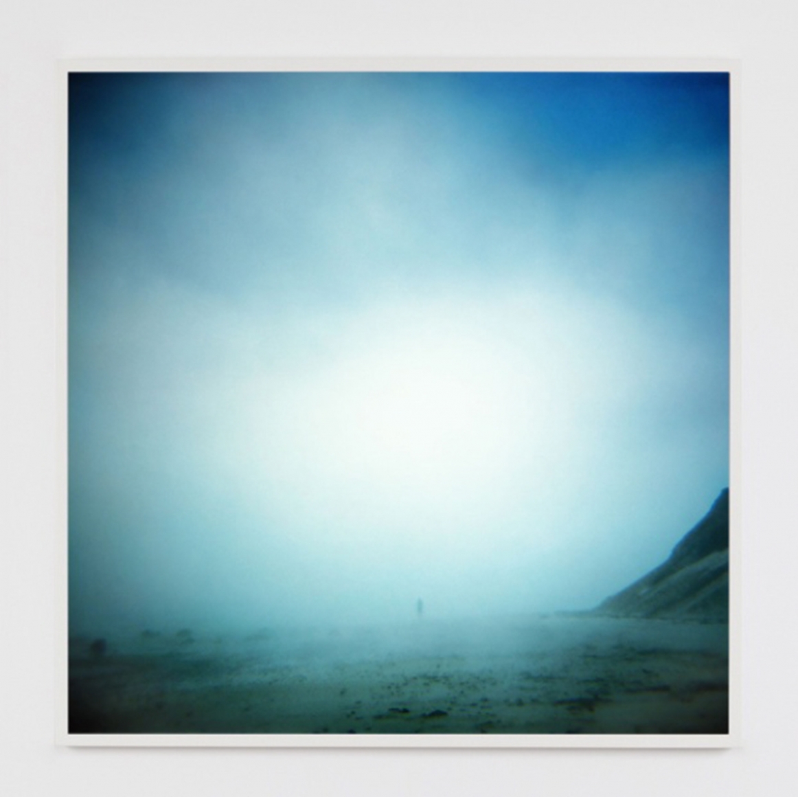 Liza Ryan, Untitled