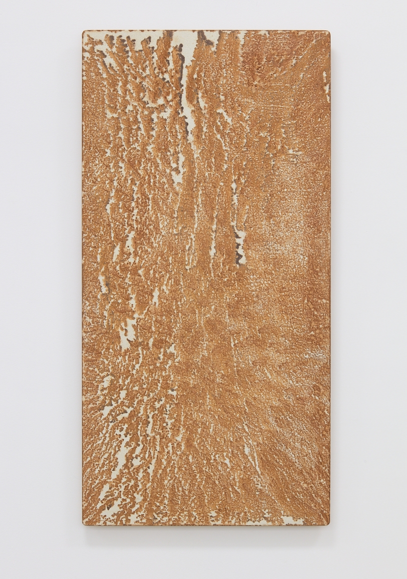 Relation-Quality, 1981 Cotton cloth, iron, rainwater and wooden panel