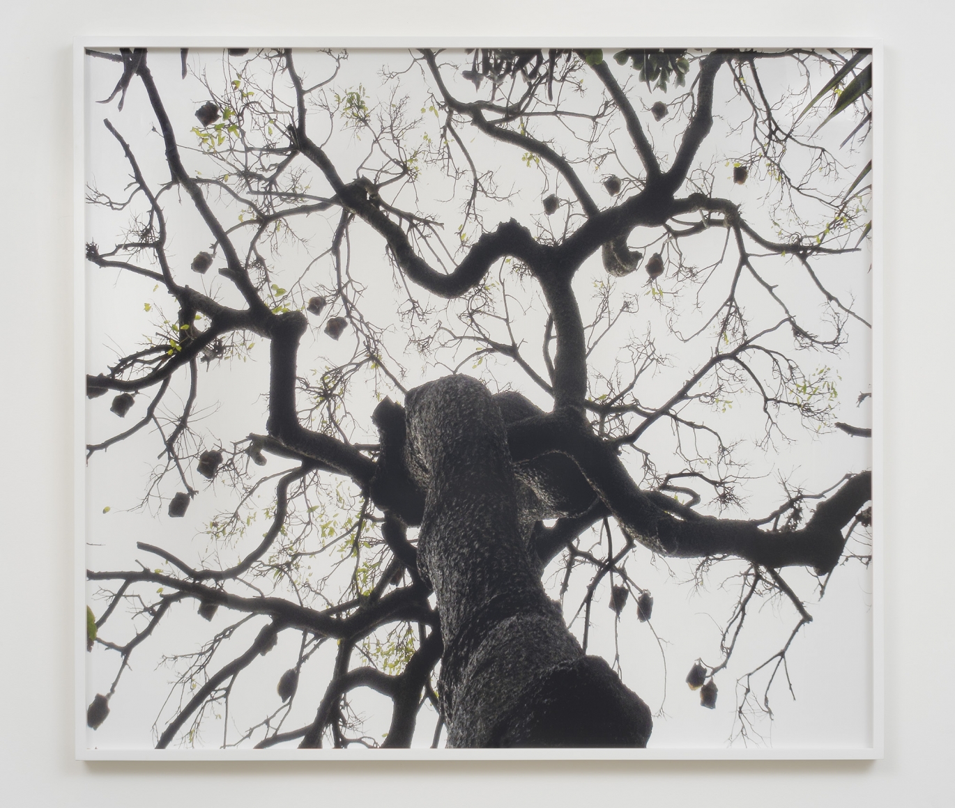 Liza Ryan, Still from... Awake and sleeping