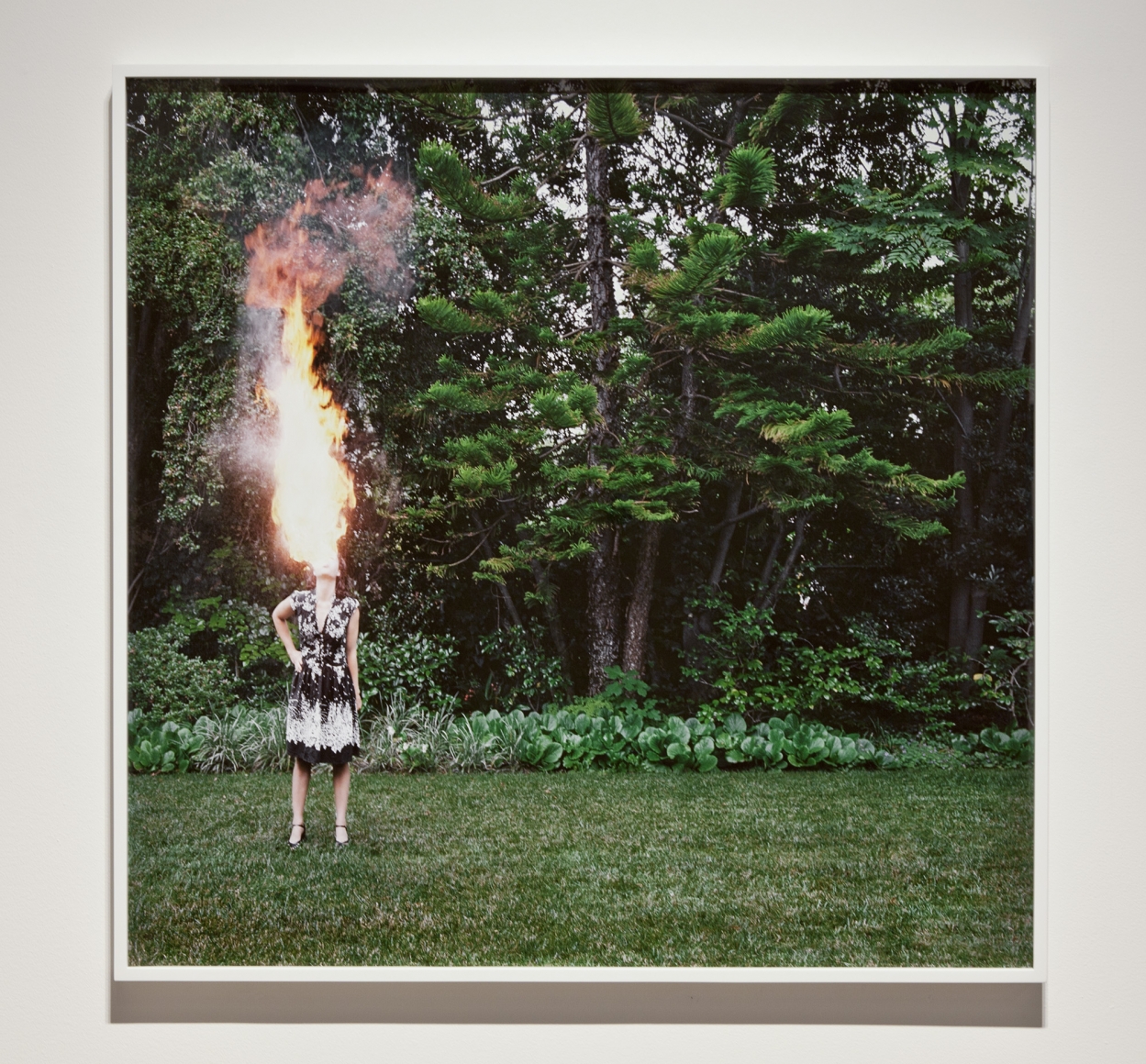 Liza Ryan, I push a petal from my gown