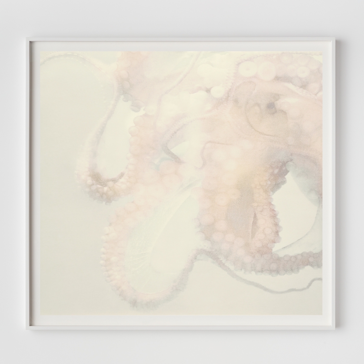 Liza Ryan Darwin waiting, 2020