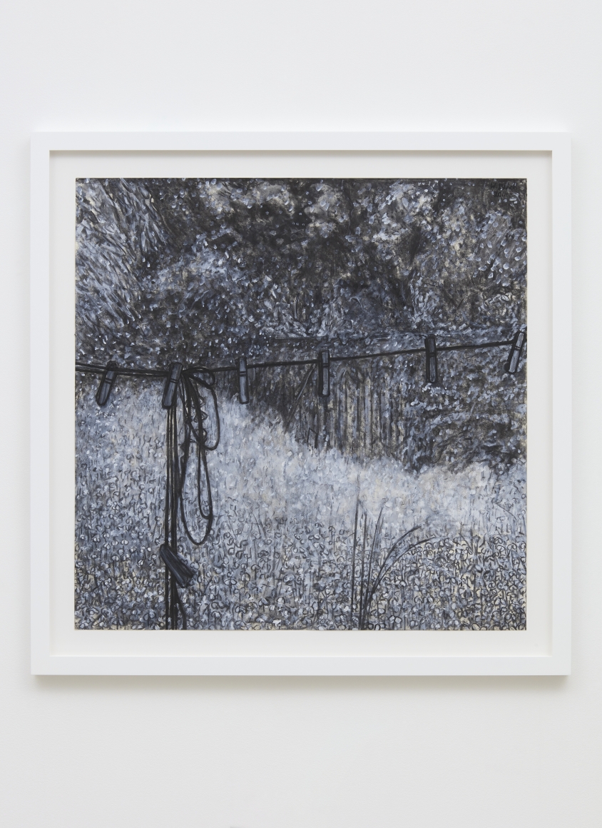 Willie Birch Clothesline, 2011