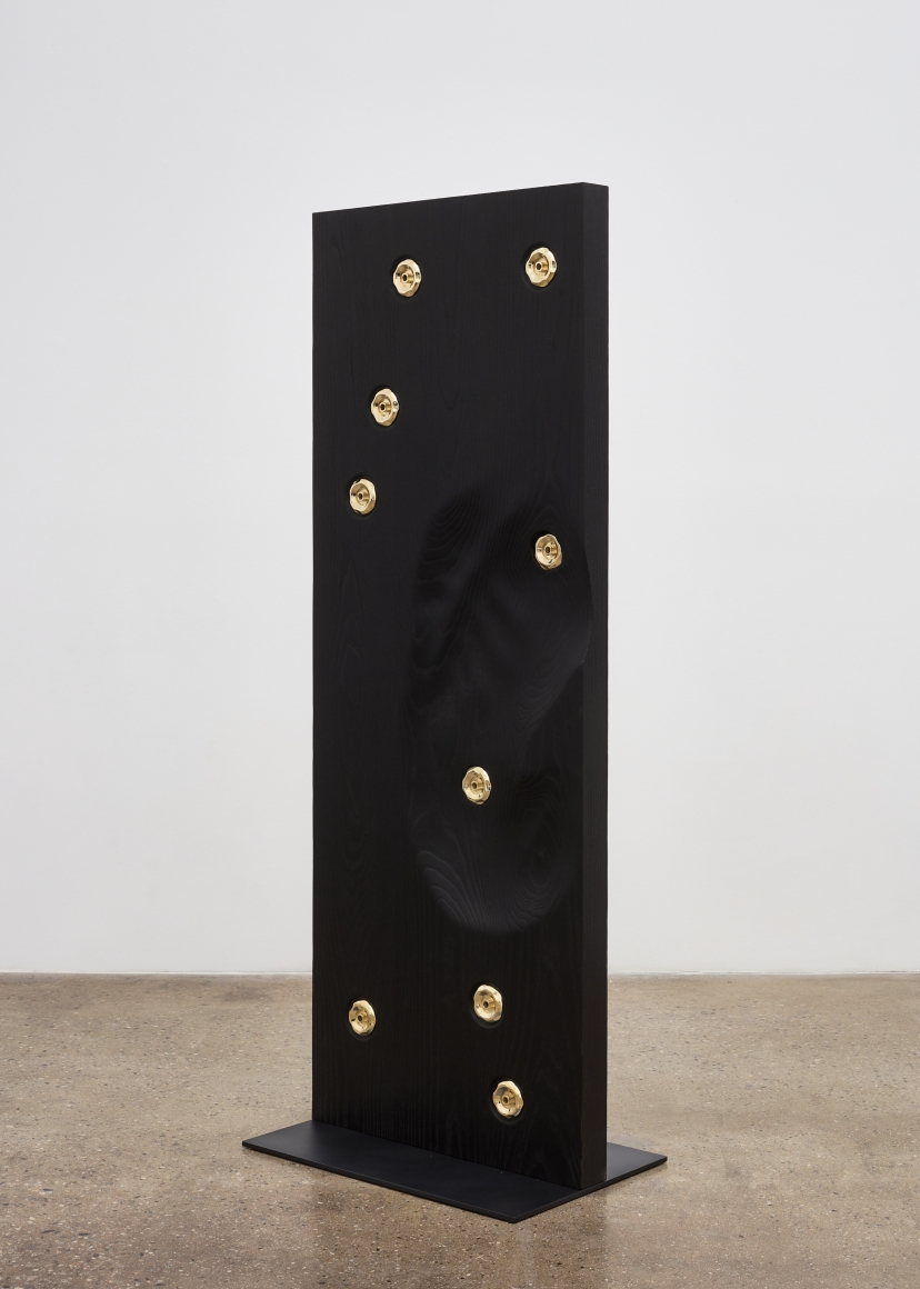 Mika Tajima Pranayama (Monolith, D, Shou Sugi Ban), 2019