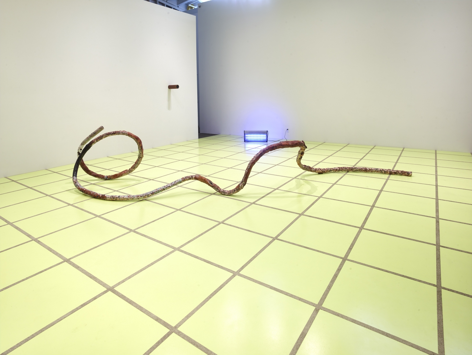 Installation view Rosha Yaghmai: Miraclegrow, Wattis Instutite for Contemporary Arts, January 15 - March 30, 2019