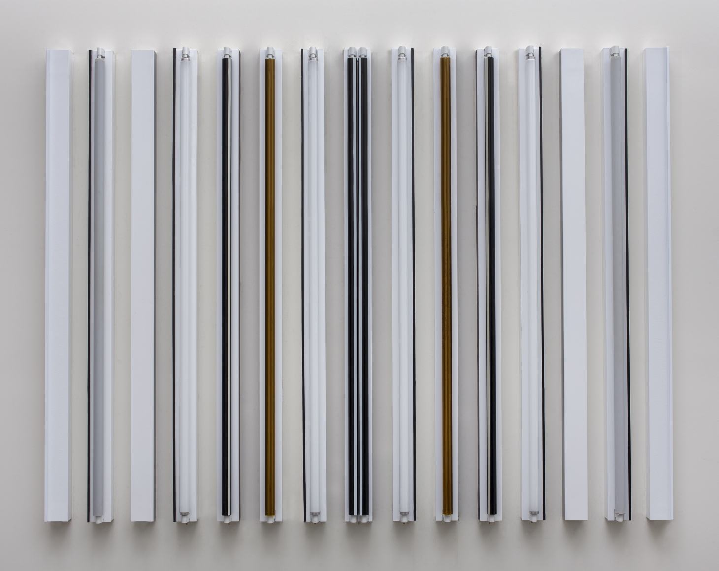Robert Irwin Mesquite, 2018