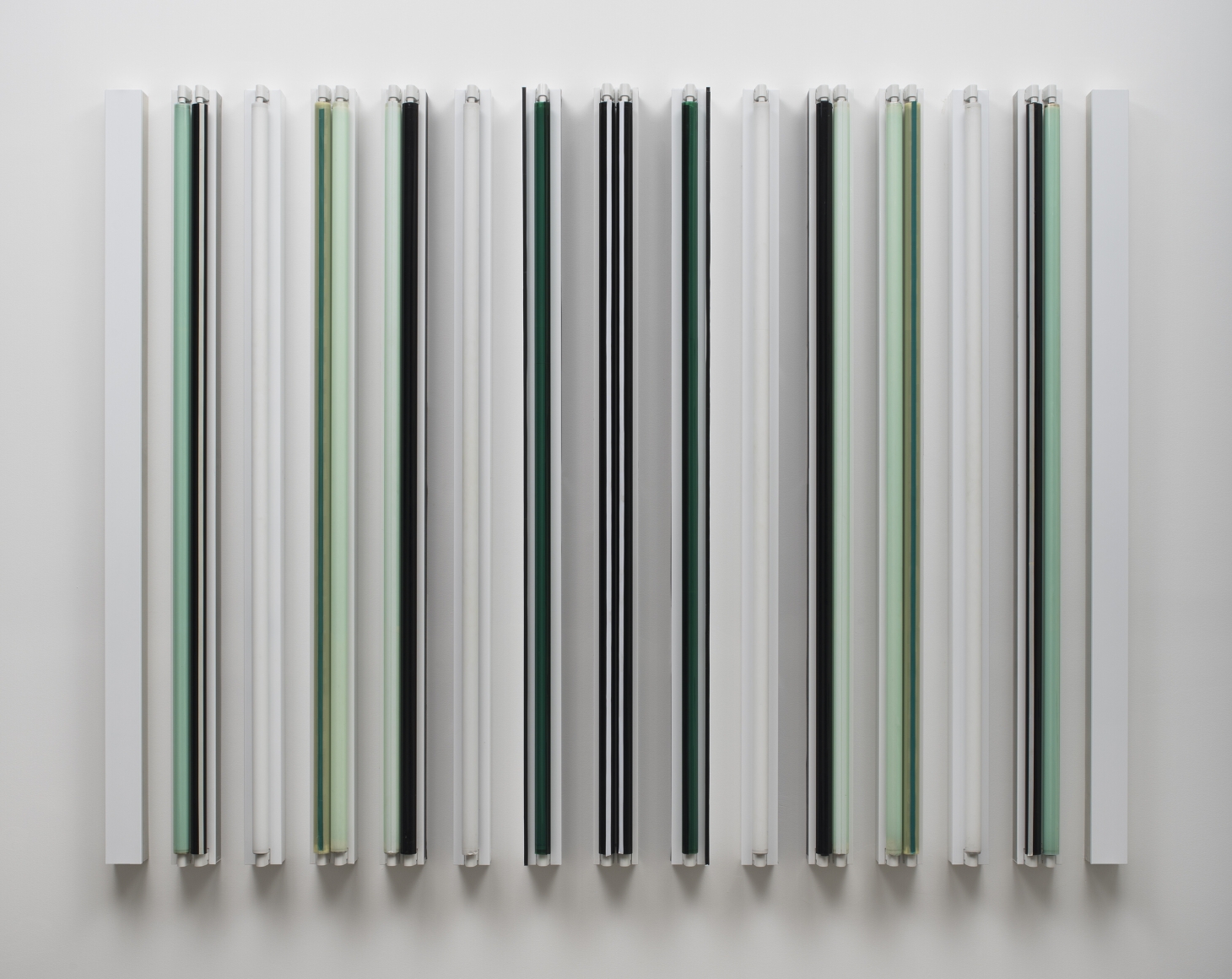 Robert Irwin Mozambique , 2018
