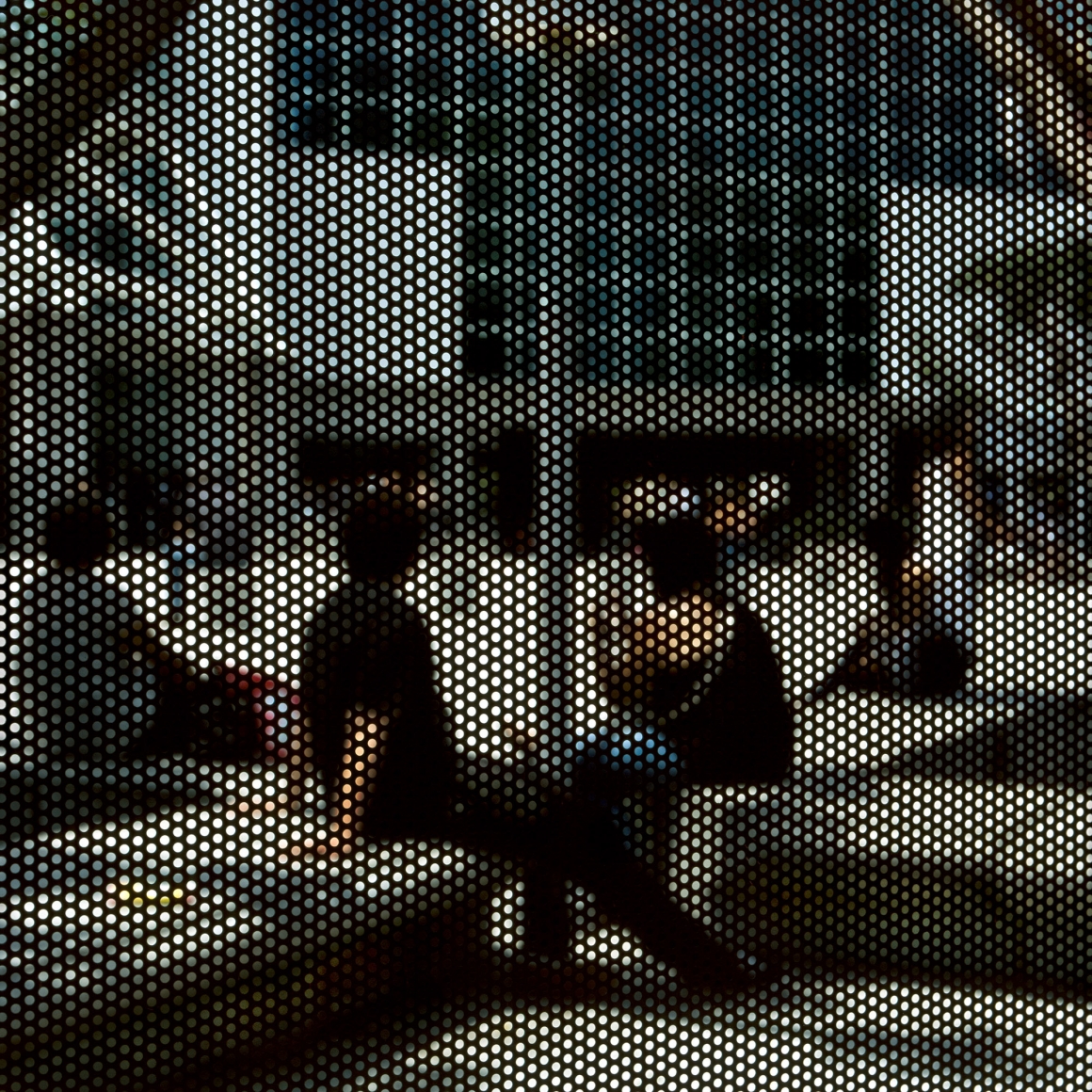Anthony Hernandez Screened Pictures # 1, 2017