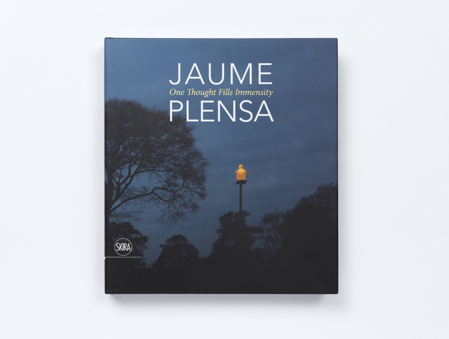 One Thought Fills Immensity Jaume Plensa Publications