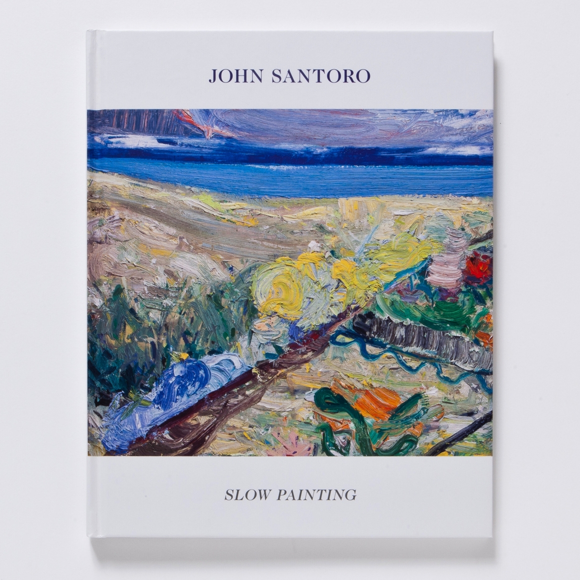 Slow Painting John Santoro Books Richard Gray Gallery