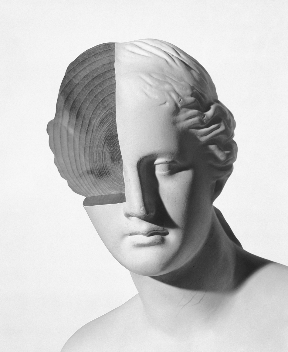 Wood Revealed, 1990, Archival Pigment Print