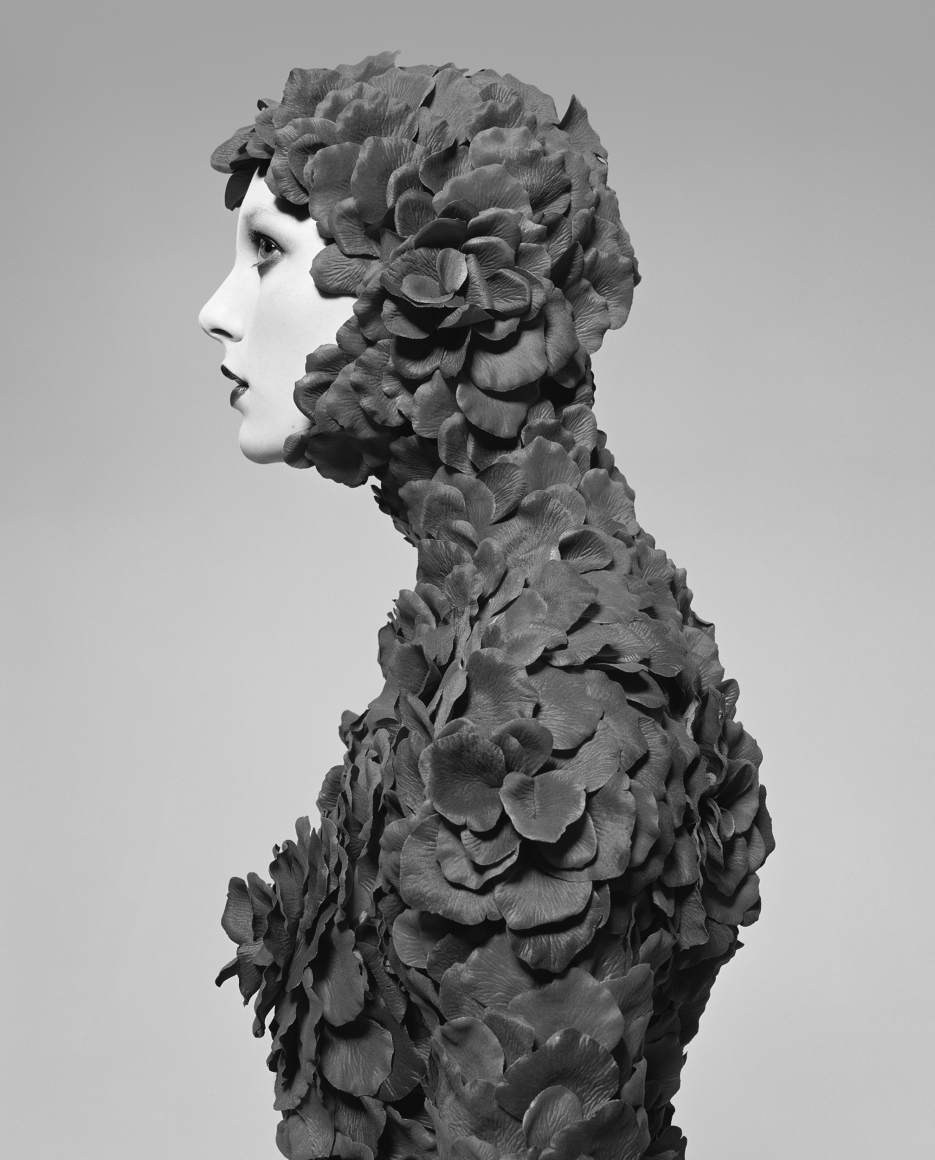 Rose Petal Suit, 2005, Archival Pigment Print