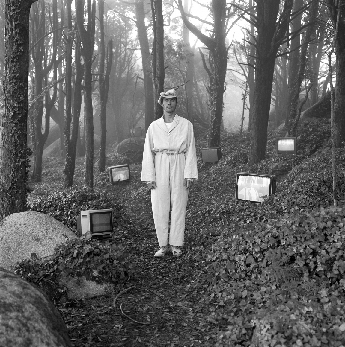 TV Forest (1), Portugal, 1992, Archival Pigment Print