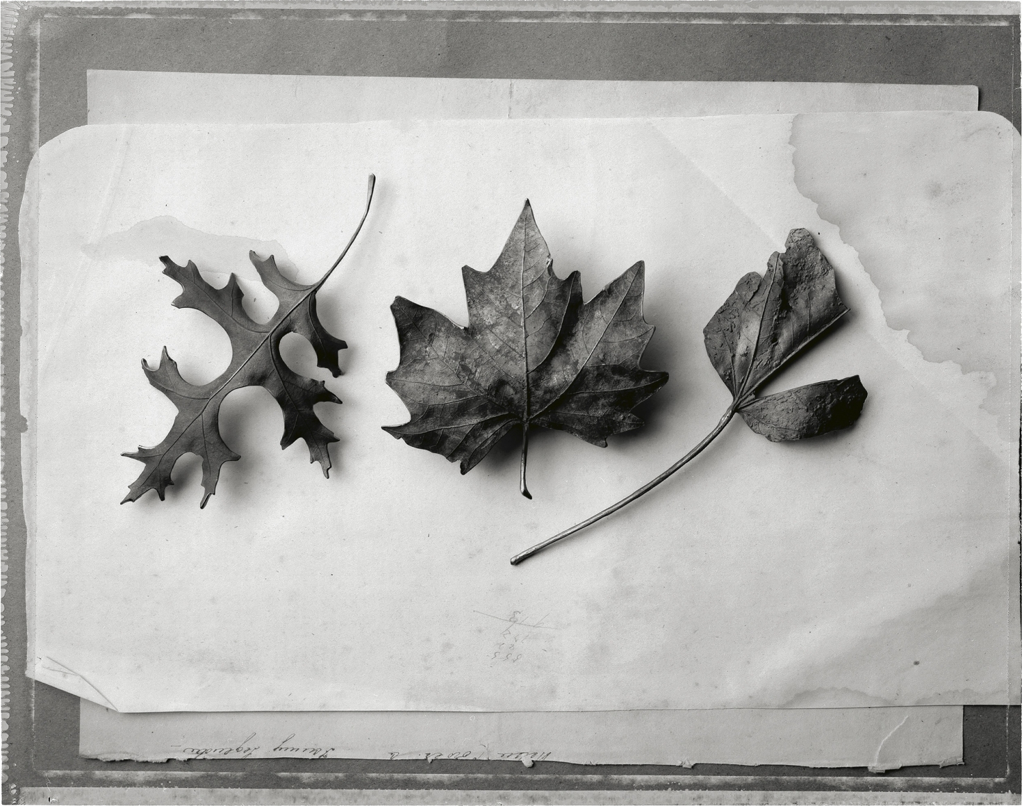 Bronze Pins, 1993, Archival Pigment Print