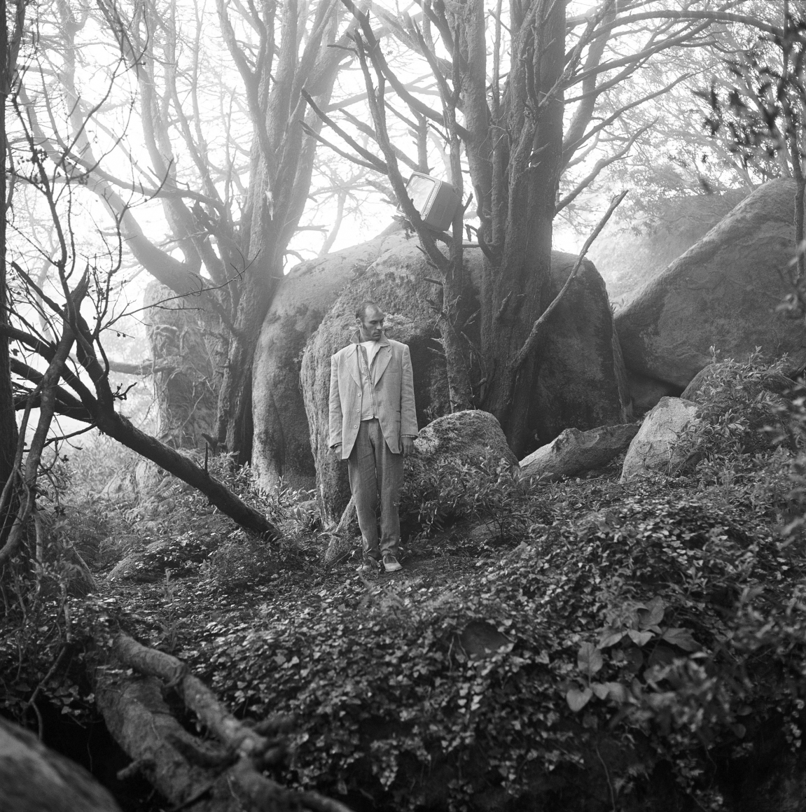 TV Forest (2), Portugal, 1997, Archival Pigment Print
