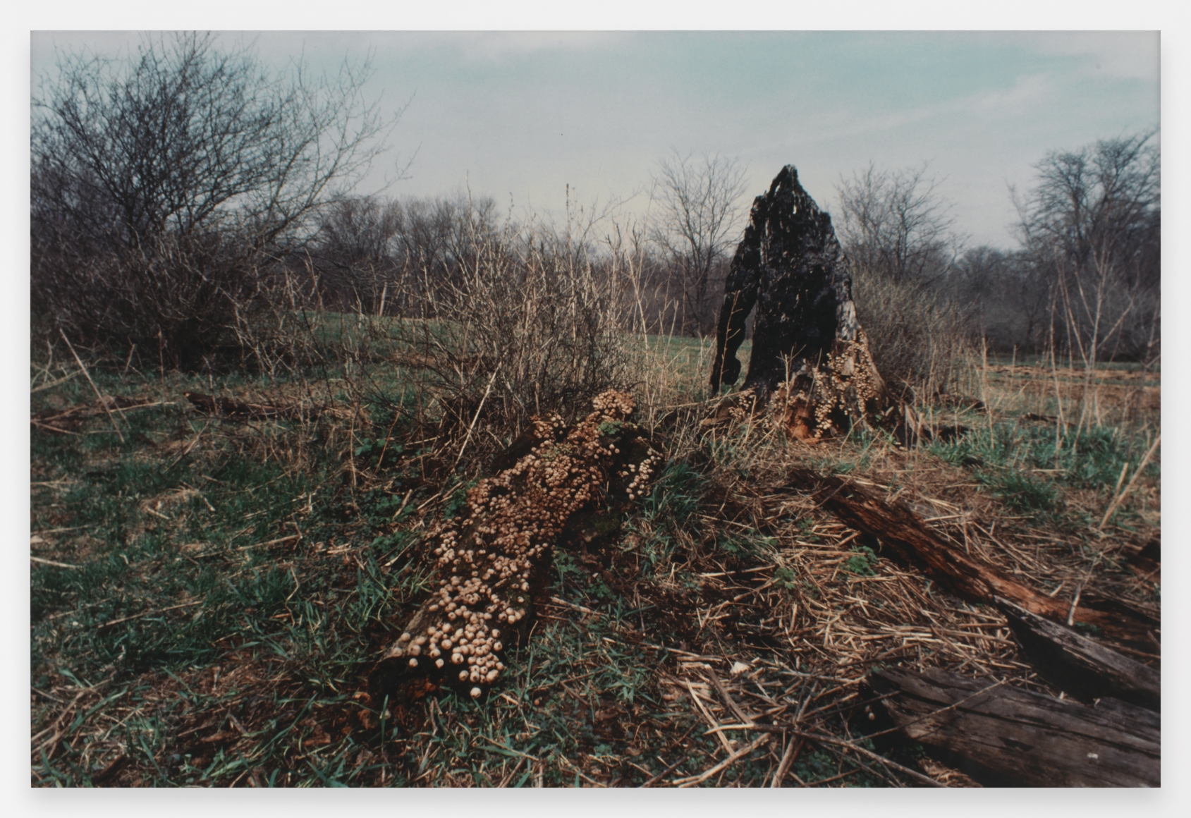 silueta-series-photographs-ana-mendieta-viewing-room-galerie