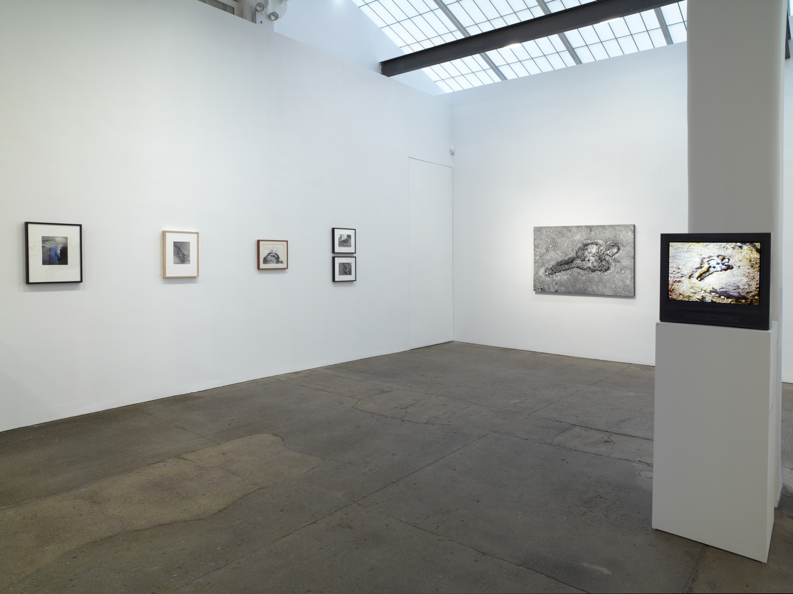 Ana Mendieta Documentation and Artwork, 19721985